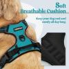 imagerabbitgoo Dog Harness NoPull Pet Harness with 2 Leash Clips Adjustable Soft Padded Dog Vest Reflective NoChoke Pet Oxford Vest with Easy Control Handle for Large Dogs Purple LTeal