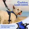 imagerabbitgoo Dog Harness NoPull Pet Harness with 2 Leash Clips Adjustable Soft Padded Dog Vest Reflective NoChoke Pet Oxford Vest with Easy Control Handle for Large Dogs Purple LDazzling Blue
