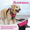 imagerabbitgoo Dog Harness NoPull Pet Harness with 2 Leash Clips Adjustable Soft Padded Dog Vest Reflective NoChoke Pet Oxford Vest with Easy Control Handle for Large Dogs Purple LHot Pink