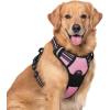 imagerabbitgoo Dog Harness NoPull Pet Harness with 2 Leash Clips Adjustable Soft Padded Dog Vest Reflective NoChoke Pet Oxford Vest with Easy Control Handle for Large Dogs Purple LPink
