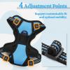 imagerabbitgoo Dog Harness NoPull Pet Harness with 2 Leash Clips Adjustable Soft Padded Dog Vest Reflective NoChoke Pet Oxford Vest with Easy Control Handle for Large Dogs Purple LBlue
