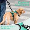 imagerabbitgoo Dog Harness NoPull Pet Harness with 2 Leash Clips Adjustable Soft Padded Dog Vest Reflective NoChoke Pet Oxford Vest with Easy Control Handle for Large Dogs Purple LTurquoise
