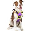 imagerabbitgoo Dog Harness NoPull Pet Harness with 2 Leash Clips Adjustable Soft Padded Dog Vest Reflective NoChoke Pet Oxford Vest with Easy Control Handle for Large Dogs Purple LPurple  Yellow