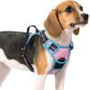 imagerabbitgoo Dog Harness NoPull Pet Harness with 2 Leash Clips Adjustable Soft Padded Dog Vest Reflective NoChoke Pet Oxford Vest with Easy Control Handle for Large Dogs Purple LPink  Blue