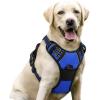 imagerabbitgoo Dog Harness NoPull Pet Harness with 2 Leash Clips Adjustable Soft Padded Dog Vest Reflective NoChoke Pet Oxford Vest with Easy Control Handle for Large Dogs Purple LDazzling Blue