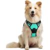 imagerabbitgoo Dog Harness NoPull Pet Harness with 2 Leash Clips Adjustable Soft Padded Dog Vest Reflective NoChoke Pet Oxford Vest with Easy Control Handle for Large Dogs Purple LTurquoise