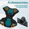 imagerabbitgoo Dog Harness NoPull Pet Harness with 2 Leash Clips Adjustable Soft Padded Dog Vest Reflective NoChoke Pet Oxford Vest with Easy Control Handle for Large Dogs Purple LBlue Coral