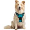 imagerabbitgoo Dog Harness NoPull Pet Harness with 2 Leash Clips Adjustable Soft Padded Dog Vest Reflective NoChoke Pet Oxford Vest with Easy Control Handle for Large Dogs Purple LTeal