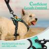imagerabbitgoo Dog Harness NoPull Pet Harness with 2 Leash Clips Adjustable Soft Padded Dog Vest Reflective NoChoke Pet Oxford Vest with Easy Control Handle for Large Dogs Purple LTurquoise