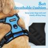 imagerabbitgoo Dog Harness NoPull Pet Harness with 2 Leash Clips Adjustable Soft Padded Dog Vest Reflective NoChoke Pet Oxford Vest with Easy Control Handle for Large Dogs Purple LBlue