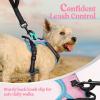 imagerabbitgoo Dog Harness NoPull Pet Harness with 2 Leash Clips Adjustable Soft Padded Dog Vest Reflective NoChoke Pet Oxford Vest with Easy Control Handle for Large Dogs Purple LPink  Blue