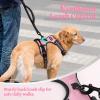 imagerabbitgoo Dog Harness NoPull Pet Harness with 2 Leash Clips Adjustable Soft Padded Dog Vest Reflective NoChoke Pet Oxford Vest with Easy Control Handle for Large Dogs Purple LPink