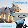 imagerabbitgoo Dog Harness NoPull Pet Harness with 2 Leash Clips Adjustable Soft Padded Dog Vest Reflective NoChoke Pet Oxford Vest with Easy Control Handle for Large Dogs Purple LBlue