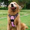 imagerabbitgoo Dog Harness NoPull Pet Harness with 2 Leash Clips Adjustable Soft Padded Dog Vest Reflective NoChoke Pet Oxford Vest with Easy Control Handle for Large Dogs Purple LPink