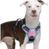 imagerabbitgoo Dog Harness NoPull Pet Harness with 2 Leash Clips Adjustable Soft Padded Dog Vest Reflective NoChoke Pet Oxford Vest with Easy Control Handle for Large Dogs Purple LPink  Blue