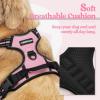 imagerabbitgoo Dog Harness NoPull Pet Harness with 2 Leash Clips Adjustable Soft Padded Dog Vest Reflective NoChoke Pet Oxford Vest with Easy Control Handle for Large Dogs Purple LPink