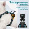 imagerabbitgoo Dog Harness NoPull Pet Harness with 2 Leash Clips Adjustable Soft Padded Dog Vest Reflective NoChoke Pet Oxford Vest with Easy Control Handle for Large Dogs Purple LTeal