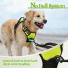 imagerabbitgoo Dog Harness NoPull Pet Harness with 2 Leash Clips Adjustable Soft Padded Dog Vest Reflective NoChoke Pet Oxford Vest with Easy Control Handle for Large Dogs Purple LWild Lime