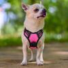 imagerabbitgoo Dog Harness NoPull Pet Harness with 2 Leash Clips Adjustable Soft Padded Dog Vest Reflective NoChoke Pet Oxford Vest with Easy Control Handle for Large Dogs Purple LHot Pink