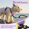 imagerabbitgoo Dog Harness NoPull Pet Harness with 2 Leash Clips Adjustable Soft Padded Dog Vest Reflective NoChoke Pet Oxford Vest with Easy Control Handle for Large Dogs Purple LPurple  Yellow
