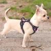 imagerabbitgoo Dog Harness NoPull Pet Harness with 2 Leash Clips Adjustable Soft Padded Dog Vest Reflective NoChoke Pet Oxford Vest with Easy Control Handle for Large Dogs Purple LPink