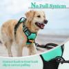 imagerabbitgoo Dog Harness NoPull Pet Harness with 2 Leash Clips Adjustable Soft Padded Dog Vest Reflective NoChoke Pet Oxford Vest with Easy Control Handle for Large Dogs Purple LTurquoise