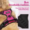 imagerabbitgoo Dog Harness NoPull Pet Harness with 2 Leash Clips Adjustable Soft Padded Dog Vest Reflective NoChoke Pet Oxford Vest with Easy Control Handle for Large Dogs Purple LHot Pink