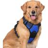 imagerabbitgoo Dog Harness NoPull Pet Harness with 2 Leash Clips Adjustable Soft Padded Dog Vest Reflective NoChoke Pet Oxford Vest with Easy Control Handle for Large Dogs Purple LDazzling Blue