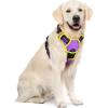imagerabbitgoo Dog Harness NoPull Pet Harness with 2 Leash Clips Adjustable Soft Padded Dog Vest Reflective NoChoke Pet Oxford Vest with Easy Control Handle for Large Dogs Purple LPurple  Yellow