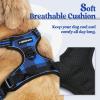 imagerabbitgoo Dog Harness NoPull Pet Harness with 2 Leash Clips Adjustable Soft Padded Dog Vest Reflective NoChoke Pet Oxford Vest with Easy Control Handle for Large Dogs Purple LCheckered Blue