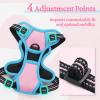 imagerabbitgoo Dog Harness NoPull Pet Harness with 2 Leash Clips Adjustable Soft Padded Dog Vest Reflective NoChoke Pet Oxford Vest with Easy Control Handle for Large Dogs Purple LPink  Blue