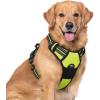 imagerabbitgoo Dog Harness NoPull Pet Harness with 2 Leash Clips Adjustable Soft Padded Dog Vest Reflective NoChoke Pet Oxford Vest with Easy Control Handle for Large Dogs Purple LWild Lime