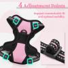 imagerabbitgoo Dog Harness NoPull Pet Harness with 2 Leash Clips Adjustable Soft Padded Dog Vest Reflective NoChoke Pet Oxford Vest with Easy Control Handle for Large Dogs Purple LPink