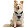 imagerabbitgoo Dog Harness NoPull Pet Harness with 2 Leash Clips Adjustable Soft Padded Dog Vest Reflective NoChoke Pet Oxford Vest with Easy Control Handle for Large Dogs Purple LGray