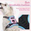 imagerabbitgoo Dog Harness NoPull Pet Harness with 2 Leash Clips Adjustable Soft Padded Dog Vest Reflective NoChoke Pet Oxford Vest with Easy Control Handle for Large Dogs Purple LPink  Blue