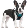 imagerabbitgoo Dog Harness NoPull Pet Harness with 2 Leash Clips Adjustable Soft Padded Dog Vest Reflective NoChoke Pet Oxford Vest with Easy Control Handle for Large Dogs Purple LBlue Coral