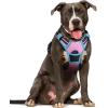 imagerabbitgoo Dog Harness NoPull Pet Harness with 2 Leash Clips Adjustable Soft Padded Dog Vest Reflective NoChoke Pet Oxford Vest with Easy Control Handle for Large Dogs Purple LPink  Blue