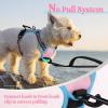 imagerabbitgoo Dog Harness NoPull Pet Harness with 2 Leash Clips Adjustable Soft Padded Dog Vest Reflective NoChoke Pet Oxford Vest with Easy Control Handle for Large Dogs Purple LPink  Blue