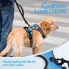 imagerabbitgoo Dog Harness NoPull Pet Harness with 2 Leash Clips Adjustable Soft Padded Dog Vest Reflective NoChoke Pet Oxford Vest with Easy Control Handle for Large Dogs Purple LBlue