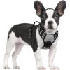 imagerabbitgoo Dog Harness NoPull Pet Harness with 2 Leash Clips Adjustable Soft Padded Dog Vest Reflective NoChoke Pet Oxford Vest with Easy Control Handle for Large Dogs Purple LGray