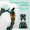imagerabbitgoo Dog Harness NoPull Pet Harness with 2 Leash Clips Adjustable Soft Padded Dog Vest Reflective NoChoke Pet Oxford Vest with Easy Control Handle for Large Dogs Purple LTurquoise