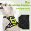 imagerabbitgoo Dog Harness NoPull Pet Harness with 2 Leash Clips Adjustable Soft Padded Dog Vest Reflective NoChoke Pet Oxford Vest with Easy Control Handle for Large Dogs Purple LWild Lime