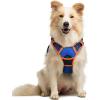 imagerabbitgoo Dog Harness NoPull Pet Harness with 2 Leash Clips Adjustable Soft Padded Dog Vest Reflective NoChoke Pet Oxford Vest with Easy Control Handle for Large Dogs Purple LBlue  Orange