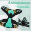 imagerabbitgoo Dog Harness NoPull Pet Harness with 2 Leash Clips Adjustable Soft Padded Dog Vest Reflective NoChoke Pet Oxford Vest with Easy Control Handle for Large Dogs Purple LTurquoise