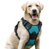 imagerabbitgoo Dog Harness NoPull Pet Harness with 2 Leash Clips Adjustable Soft Padded Dog Vest Reflective NoChoke Pet Oxford Vest with Easy Control Handle for Large Dogs Purple LTeal