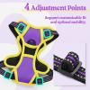 imagerabbitgoo Dog Harness NoPull Pet Harness with 2 Leash Clips Adjustable Soft Padded Dog Vest Reflective NoChoke Pet Oxford Vest with Easy Control Handle for Large Dogs Purple LPurple  Yellow