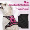 imagerabbitgoo Dog Harness NoPull Pet Harness with 2 Leash Clips Adjustable Soft Padded Dog Vest Reflective NoChoke Pet Oxford Vest with Easy Control Handle for Large Dogs Purple LHot Pink