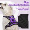 imagerabbitgoo Dog Harness NoPull Pet Harness with 2 Leash Clips Adjustable Soft Padded Dog Vest Reflective NoChoke Pet Oxford Vest with Easy Control Handle for Large Dogs Purple LPurple