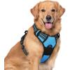 imagerabbitgoo Dog Harness NoPull Pet Harness with 2 Leash Clips Adjustable Soft Padded Dog Vest Reflective NoChoke Pet Oxford Vest with Easy Control Handle for Large Dogs Purple LBlue