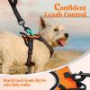 imagerabbitgoo Dog Harness NoPull Pet Harness with 2 Leash Clips Adjustable Soft Padded Dog Vest Reflective NoChoke Pet Oxford Vest with Easy Control Handle for Large Dogs Purple LOrange